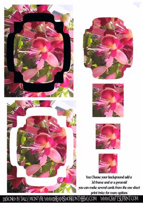Fuschia Combination Cards