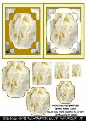 White Rose Combination Cards