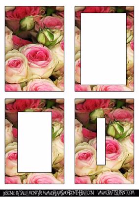 Antique Roses-