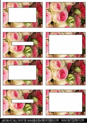 Antique Roses Miniature Series