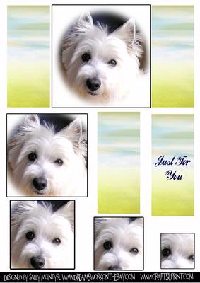 Westie
