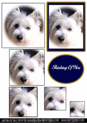 Westie Just for You & Topper