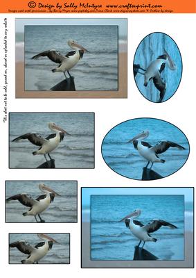 Pelicans at the Beach 2 Card Pyramid