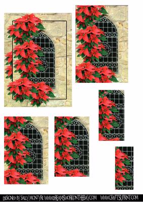 Poinsettia