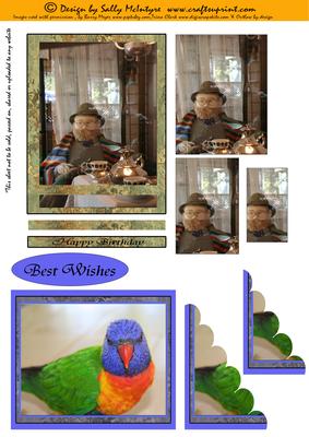 Grandfather Time and Rosellas of the Bush