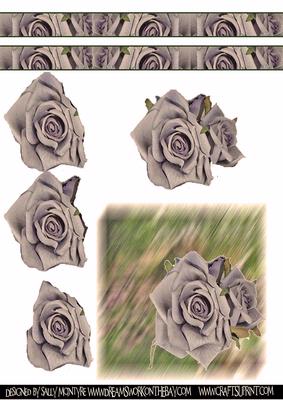 Roses in the Garden Sepia
