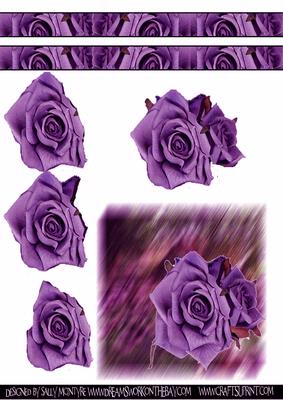 Roses in the Garden Purple