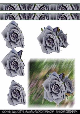 Roses in the Garden