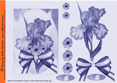 Mono Blue Iris Step by Step