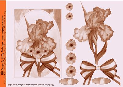 Mono Sepia Iris Step by Step