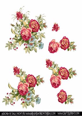 Antique Roses Step by Step