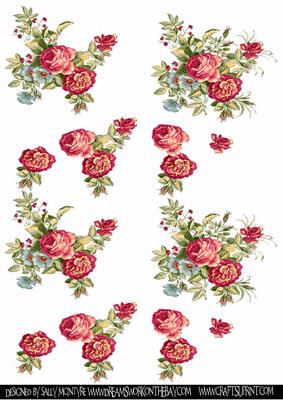 Antique Roses Miniature Series