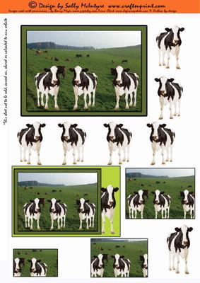Cowtastic for the Farm Fanatic