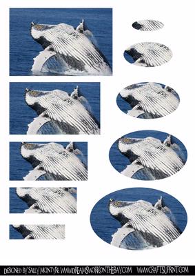 Whale of a Time