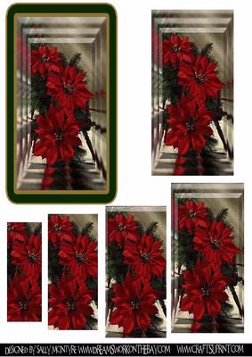 Poinsettia Priceless Beauty