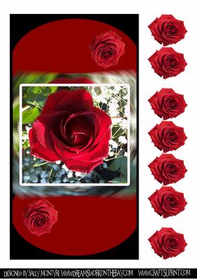 In the Red- Rose