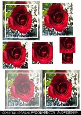 Red and Rosey