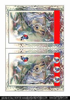 Bunny at Xmas