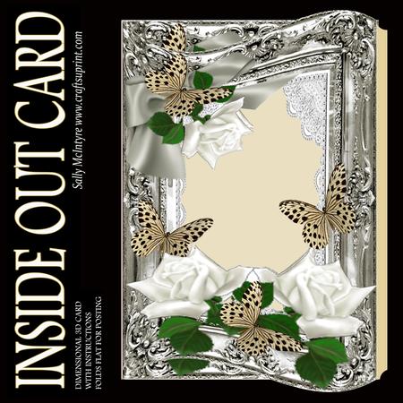 Inside Out Card Silver Frame White Roses and Butterflies