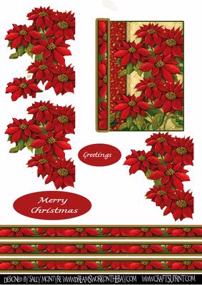 Poinsettia Fancy