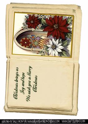 Christmas Brings Joy and Hope Poinsettia