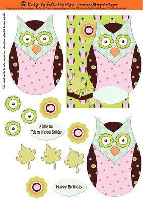 3D Over the Edge Card Front a Little Owl Told Me It Was Your