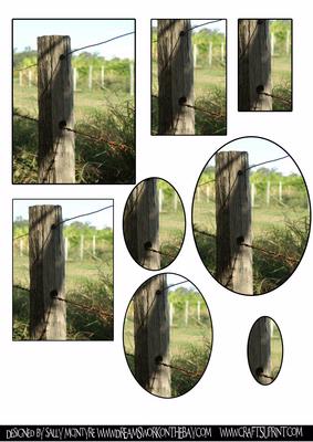 Along the Fence Line