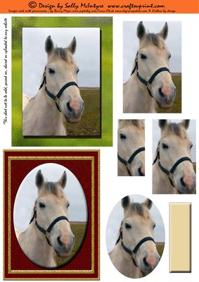 Horsing Around 2 Card Sheet