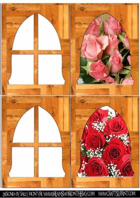 Roses in My Window