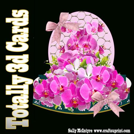 Totally 3D Orcidacea Easy with Instructions
