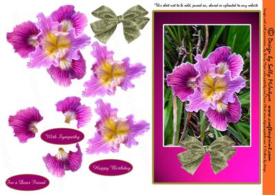 For a Dear Friend Beautiful Iris