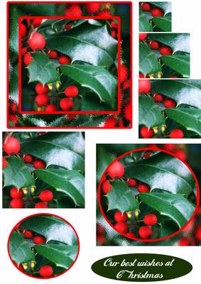 Its a Holly Time at Christmas