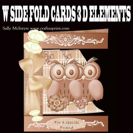 W Side Fold Cards Backyard Owls