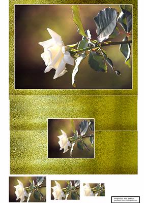 Foldback White Rose Card