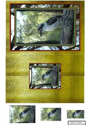 Foldback Card in the Bush