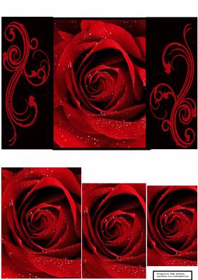 Love is a Red Rose