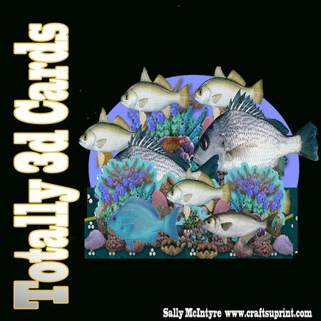 Totally 3D Underwater Fishes Easy to Make