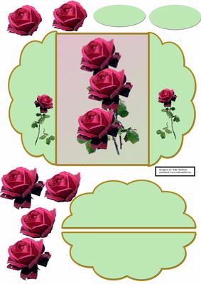 Serenenity Red Rose in Green