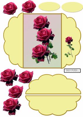Serenenity Red Roses in Cream