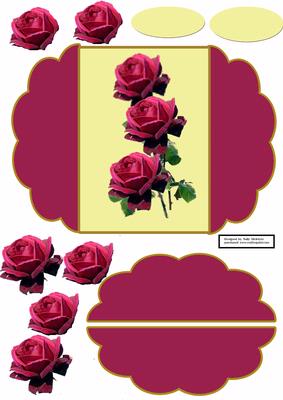 Serenenity Red Rosesin Hot Pink