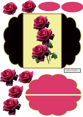 Roses in Hotpink and Black
