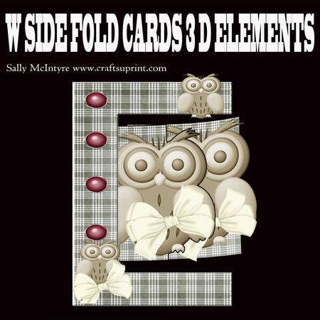 W Fold Owls Dl 3D Card
