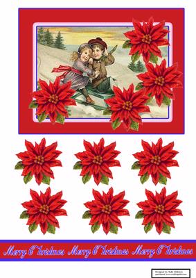 Poinsettia Snowtime