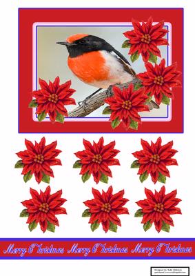 A Robin Poinsettia Christmas