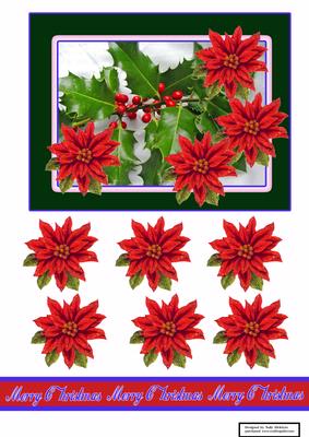 Holly and Poinsettias