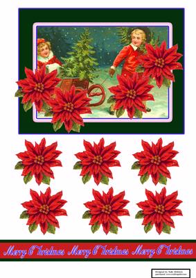 Snow Time and Poinsettias