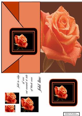 For a Beautiful Lady