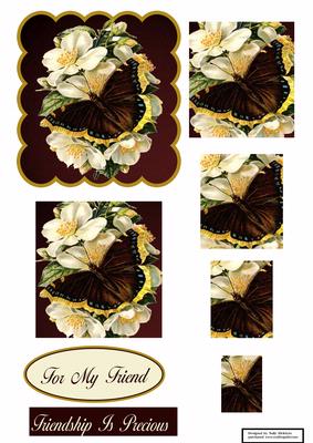 Fly Away Butterfly for My Friend Friendship is Special.