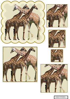 Animals of Africa
