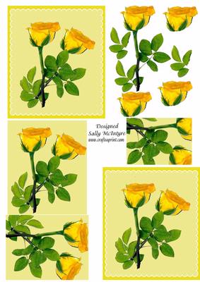 Yellow Rose Pyramid and 3D